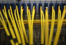 Netzwerkkabel - Foto: Oliver Berg/dpa