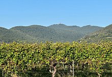 Berg Kalmit - -/LVermGeo RP/dpa