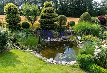 Gartenteich - Foto: Benjamin Nolte/dpa-tmn