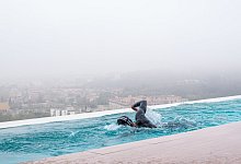 Schwimmen - Foto: Nik Howe/dpa