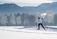 Skilangläufer in den Bergen - Tobias Hase/dpa-tmn