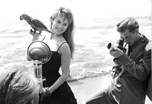 Brigitte Bardot wird 90 - --/AFP Intercontinentale/dpa