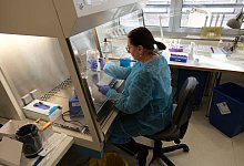 Corona-Tests - Klinikum Lippe