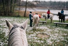 Zwei Menschen, ein Pferd - Marie Von Der Tann/dpa-tmn