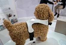 Stimmungsbarometer Inupathy - Foto: Florian Schuh/dpa-tmn