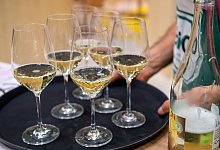 Alkoholfreier Perlwein vom Bio-Weingut Rummel - Zacharie Scheurer/dpa-tmn