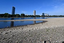 Der Rhein hat derzeit wenig Wasser - so wie hier in Bonn. - Roberto Pfeil/dpa
