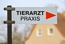 Haustiere - Patrick Pleul/dpa