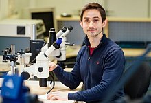 Jonathan Heckeroth - Uwe Anspach/dpa-tmn