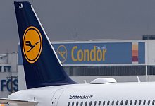Lufthansa und Condor - Foto: Silas Stein/dpa