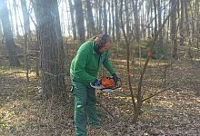 img-20250309-wa0044 - 1 - Bildrechte: André Hardtke