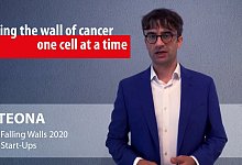 falling-walls-grey - Proteona