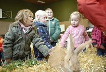 Die Kaninchen sehen es gelassen: In der Mehrzweckhalle mussten sie f&uuml;r die eine oder andere Streicheleinheit herhalten. - Alexandra Schaller