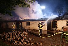 Rund 60 Feuerwehrleute bek&auml;mpften am Dienstagmorgen einen Gro&szlig;brand auf einer Gef&uuml;gelfarm in Delbr&uuml;ck. 4.000 Jungg&auml;nse starben. - Ralph Meyer