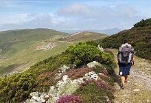 Camino Primitivo - Foto: Manuel Meyer/dpa-tmn