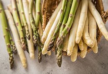 Grüner und weißer Spargel - Christin Klose/dpa-tmn