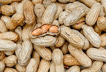 Erdnüsse - Markus Scholz/dpa