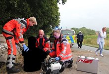 Einsatz - Martin Hostert