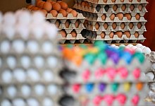 Eier - Arne Dedert/dpa