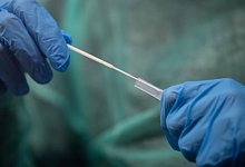 Ein Mitarbeiter h&auml;lt ein Abstrichst&auml;bchen f&uuml;r einen Corona-Test in den H&auml;nden. - Sebastian Gollnow/dpa/Symbolbild