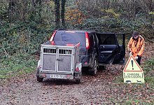 Jagd in Frankreich - Dominique Gest/Franz&ouml;sischer Jagdverband/dpa