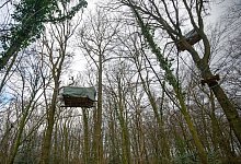 S&uuml;ndenw&auml;ldchen - Henning Kaiser/dpa