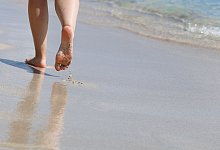 In S&uuml;dfrankreich werden Badeg&auml;ste derzeit von aggressiven Dr&uuml;ckerfischen attackiert. - Clara Margais/dpa/Symbolbild