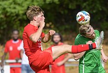 bsv_dimo - Egon Penner