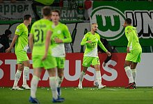 W&ouml;lfe-Sieg - Swen Pf&ouml;rtner/dpa