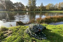 Jede Menge B&auml;lle landen im Teich. - Burkhard Hoeltzenbein