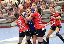 Nele Franz - Paul.Cohen