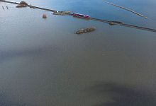 Hochwasser - Boris Roessler/dpa