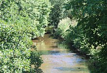 Die Werre in Lage - Archiv: LZ