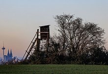 Wetter in Nordrhein-Westfalen - Oliver Berg/dpa