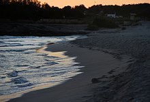 Strand auf Mallorca - Foto: Jens Kalaene/dpa-Zentralbild/dpa-tmn