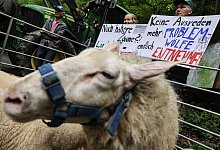 Kundgebung - Oliver Berg/dpa