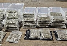 Zoll findet Marihuana im Wert von 800 000 Euro - -/Hauptzollamt Bielefeld/dpa
