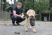 img_9238 - Uwe Müller