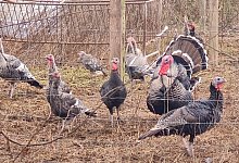 20251130_132214 - Marianne Schwarzer