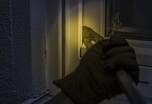 Polizei - Symbolbild: Pixabay