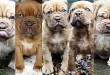 zwischenablage - Steffi Behrmann