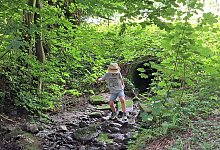 20250809_124334 - 1 - Carolin Brokmann-F&ouml;rster