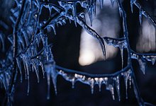 Wetter in Bayern - Pia Bayer/dpa