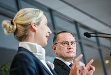 Alice Weidel und Tino Chrupalla - Kay Nietfeld/dpa