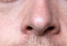 Geruchssinn - Foto: Alexander Heinl/dpa