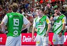 F&uuml;chse Berlin - Marius Becker/dpa/Archivbild