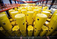 Castoren im Forschungszentrum J&uuml;lich - Andreas Endermann/dpa