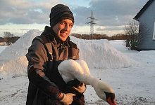 Schwan - Feuerwehr Lage