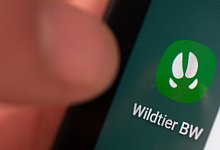 App Wildtierportal - Foto: Sebastian Gollnow/dpa