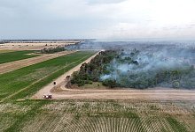 Waldbrand Gohrischheide - Sebastian Kahnert/dpa